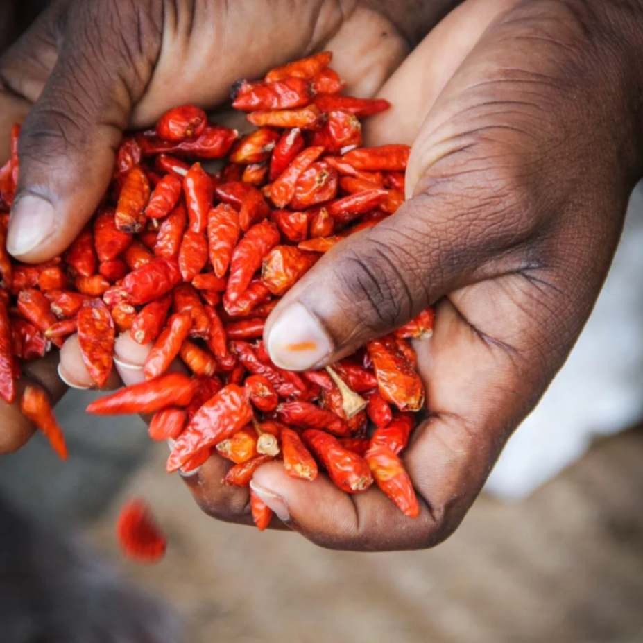Piment - Épicerie - Montpellier