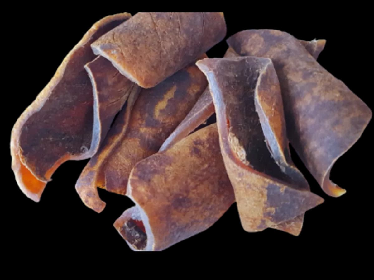 Peau de Bœuf Séchée (Kanda) - Food & Cuisine - Bologna