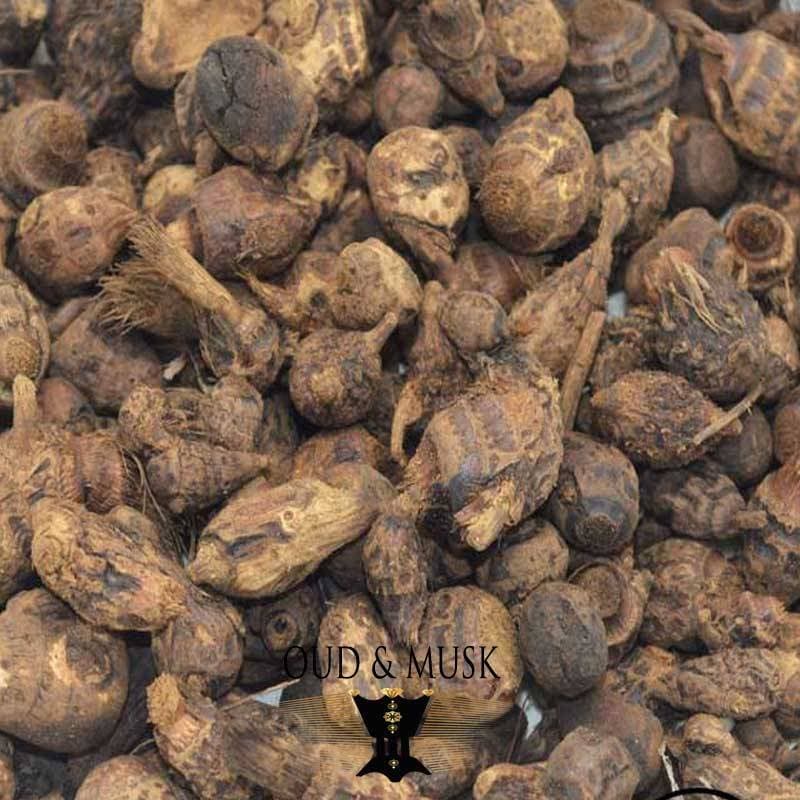 Encens Naturel Africain - Santé & Bien-être - Marseille